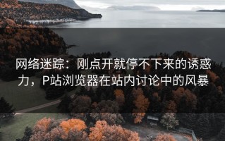 网络迷踪：刚点开就停不下来的诱惑力，P站浏览器在站内讨论中的风暴