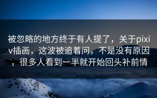 被忽略的地方终于有人提了，关于pixiv插画，这波被追着问，不是没有原因，很多人看到一半就开始回头补前情