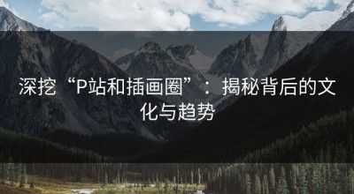 深挖“P站和插画圈”：揭秘背后的文化与趋势