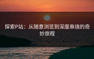 探索P站：从随意浏览到深度串烧的奇妙旅程