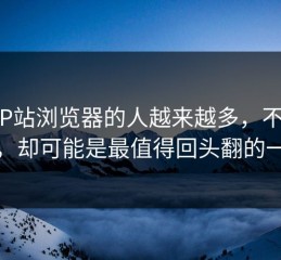 围着P站浏览器的人越来越多，不是最热，却可能是最值得回头翻的一条