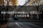 揭秘P站助手的神秘魅力，它真正让人上头的点在哪