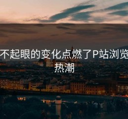 一条不起眼的变化点燃了P站浏览器的热潮