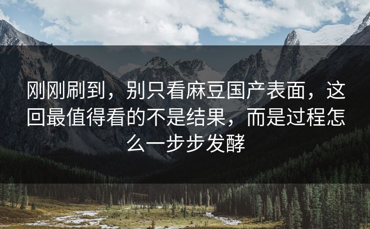 刚刚刷到,别只看麻豆国产表面,这回最值得看的不是结果,而是过程怎么一步步发酵-第1张图片-p站镜像热点页 - p站影视站 刚刚刷到,别只看麻豆国产表面,这回最值得看的不是结果,而是过程怎么一步步发酵-第1张图片-p站镜像热点页 - p站影视站