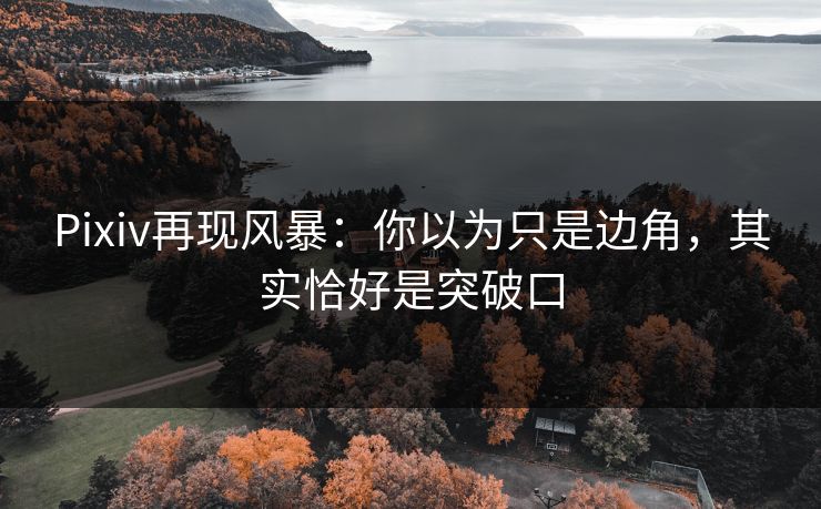 Pixiv再现风暴：你以为只是边角，其实恰好是突破口-第1张图片-p站镜像热点页 - p站影视站